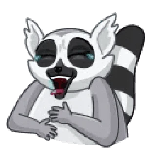 Mr Lemur
