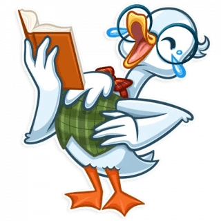 Mr Goose