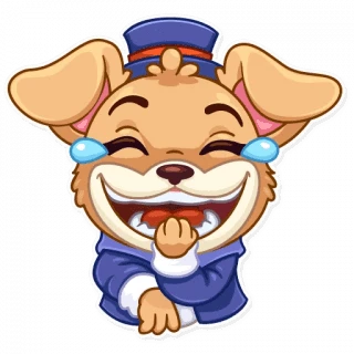 Mr Pup