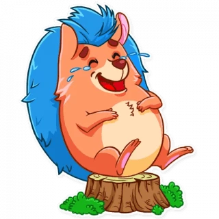 Meet The Hedgehog