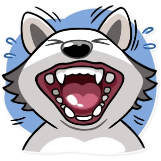 Chuck The Husky