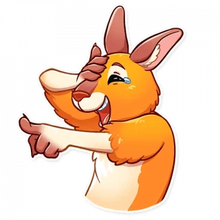 Mr Kangaroo