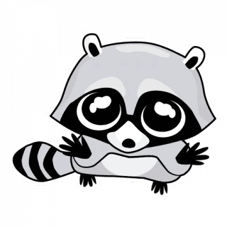 Raccoon