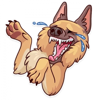 Moar Dog Memes
