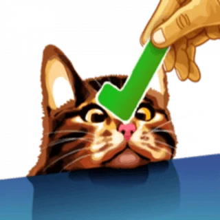 Meme The Cat