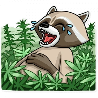 Criminal Raccoon