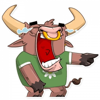 Ringo The Bull