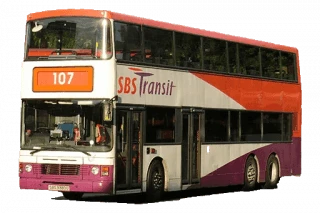 Buses