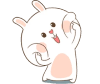 TuaGom Rabbit
