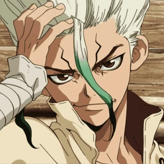 Dr Stone