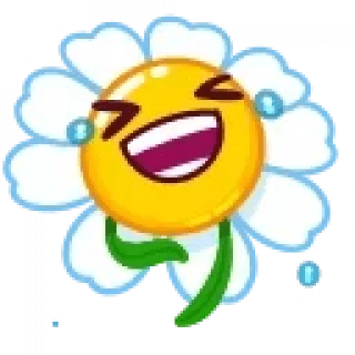 Daisy Romashka