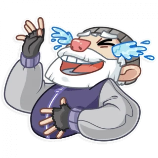 Mr Hobo