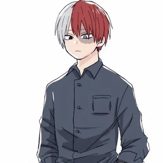 MHA- Toji_sama
